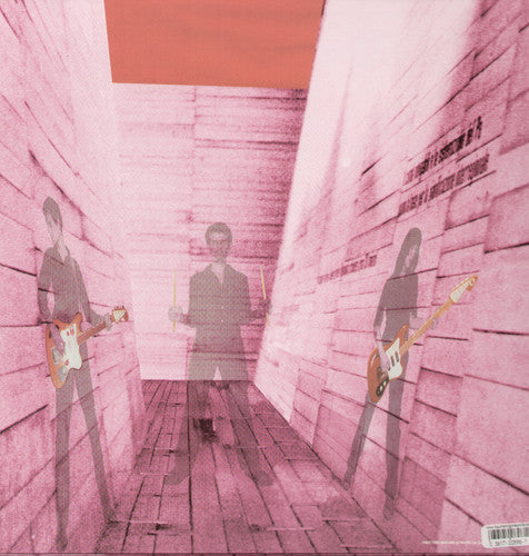 Blonde Redhead: In An Expression of the Inexpressible - （ VINYL LP ）